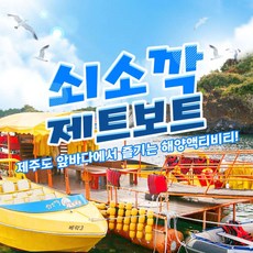 쇠소깍제트보트 강력한 성능의 상품 – Top5