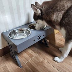 중형견식기 베스트셀러! 판매 기록 깨는 아이템 – Top5