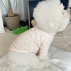 바이담수미 베스트셀러! 판매 기록 깨는 상품 – Top5