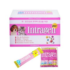 고양이인트라젠 인기 아이템 추천 순위 – Top5