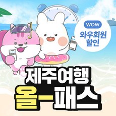 제주브이패스 높은 리뷰 평점 상품 – Top5