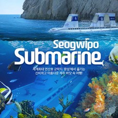 서귀포잠수함 이 제품을 놓치면 누군가는 기회를 잡을 거예요. – Top5
