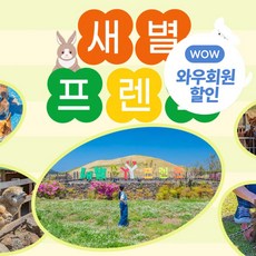 제주동물체험 당신이 모르는 인기 아이템, 지금 바로 확인하세요! – Top5