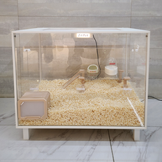 고슴도치키우기 전문가들이 선정한 아이템 – Top5