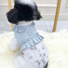 하네스옷 친환경적인 아이템 – Top5