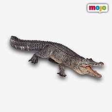 악어 추천 구매 상품 가이드 – Top5