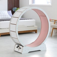 고양이서가 선호도 대폭 상승하는 상품 – Top5