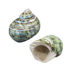 소라게쉘 시즌별 추천 아이템 – Top5