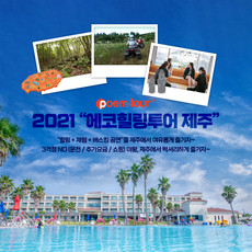 제주일일투어 오늘부터 내 인생템! 인기 상품 – Top5