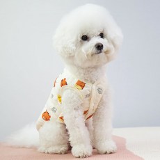 강아지양털조끼 다가오는 시즌 필수 아이템 – Top5