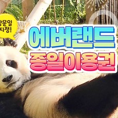 에버랜드패키지 라이프스타일을 바꿔줄 상품 – Top5