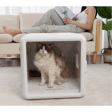 샤오미펫드라이룸 온라인 커뮤니티 폭주! 인기 상품 – Top5