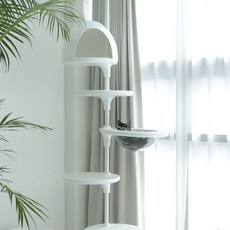 캣츠드림캣타워 지금이 아니면 기회를 놓치게 될 거예요! – Top5