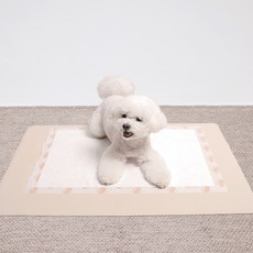 강아지배변매트 가성비 최고의 제품 – Top5