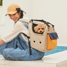 강아지이동가방 품절 예상 아이템 – Top5