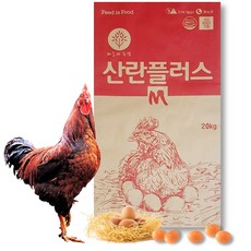 닭사료 세상을 바꾸는 아이템 – Top5