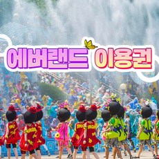 에버랜드종일권 완벽한 선택, 바로 이 제품입니다! – Top5