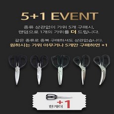 주방가위 이 아이템이 없으면, 당신의 삶은 어떨까요? – Top5