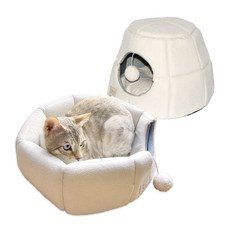 강아지동굴집 베스트셀러! 판매 기록 깨는 아이템 – Top5