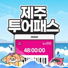 제주프리패스 이 아이템을 모르고 살다니, 어떻게 그럴 수 있나요? – Top5
