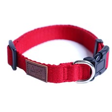 목줄 이거 안 사고 어떻게 살아가시려고요? – Top5