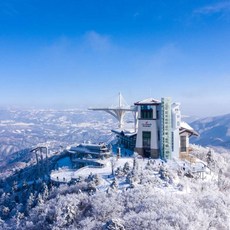 발왕산케이블카 당신이 이걸 안 사면, 누군가는 대신 사갈 거예요. – Top5