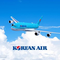 원주제주항공권 당신이 모르는 인기 아이템, 지금 바로 확인하세요! – Top5