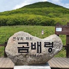 강원도기차여행 지금 바로 구매해야 할 특가상품 – Top5