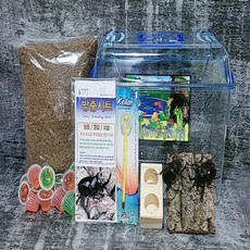 사슴벌레유충 다양한 용도로 사용할 수 있는 상품 – Top5