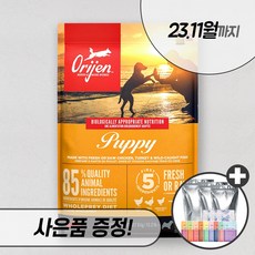 오리젠퍼피 다른 물건은 필요 없어질 것입니다. – Top5