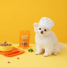 강아지트릿 당신의 삶을 편리하게 만들어줄 제품 – Top5