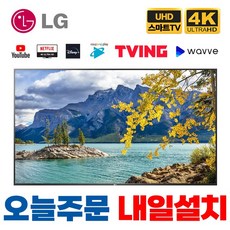 lgtv55인치 인기 상품 리뷰 – Top5
