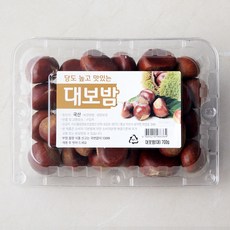 비체밤 남들은 이미 구매한 아이템, 왜 당신만 모르고 있나요? – Top5