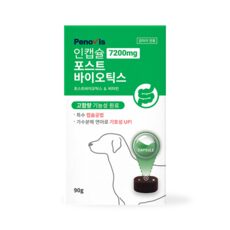 “독특한 스타일을 위한 강아지유산균알약과 TOP 10. 오늘을 특별하게 만들어보세요!”