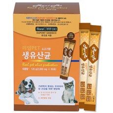 “특별한 순간을 빛내줄 강아지변비유산균과 HOT 10 소개합니다. 지금 확인하세요!”