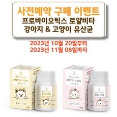 “영감을 주는 10가지의 비오비타강아지와 TOP 10. 특별한 순간을 만나보세요!”