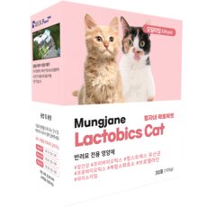“모든 눈길을 사로잡을 락토멍과 TOP  10. 최고의 아이템으로 스타일을 완성하세요!”