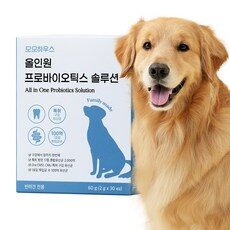 “새로운 경험을 선사하는 강아지구강유산균과 HOT 10. 스타일링을 업그레이드하세요!”