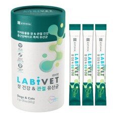 “독특한 라비펫 경험을 위한 10가지의 기회. HOT 10으로 스타일을 높이세요!”
