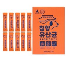 “독특한 스타일을 위한 강아지소화개선유산균30 HOT 10. 오늘을 특별하게 만들어보세요!”