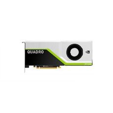 “오늘의 선택, 화려한 nvidia HOT 10으로 스타일을 더욱 완벽하게!”