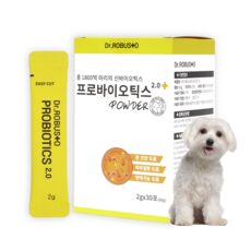 “놀라운 매력의 강아지유산균면역력설사 아이템을 만나보세요. HOT 10으로 스타일을 완성하세요!”