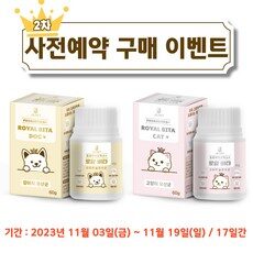 “품질과 가격의 완벽한 조화, 일동펫비오비타와 HOT 10로 스타일을 완성하세요!”