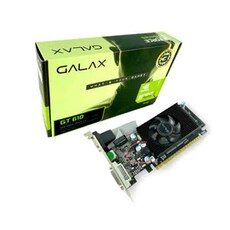 “다양한 선택으로 완성하는 gt610 HOT 10. 오늘의 스타일링을 완벽하게!”