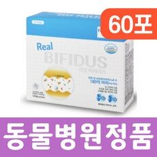 “독특한 스타일을 위한 강아지유산균리얼비피더스와 HOT 10. 오늘을 특별하게 만들어보세요!”